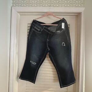 Maurices Capri jean with stretch size 20